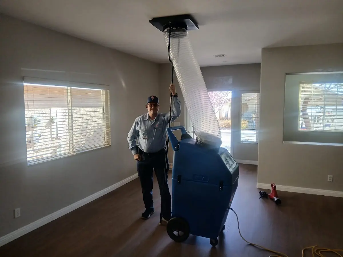 Professional Dryer Vent Cleaning work inside a Nutley home